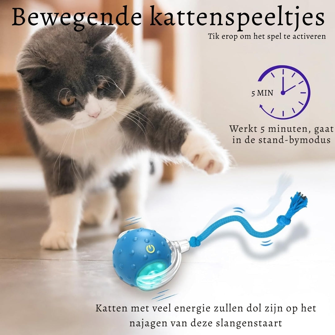 JachtBal Pro – Het interactieve speeltje dat jouw kat urenlang vermaakt