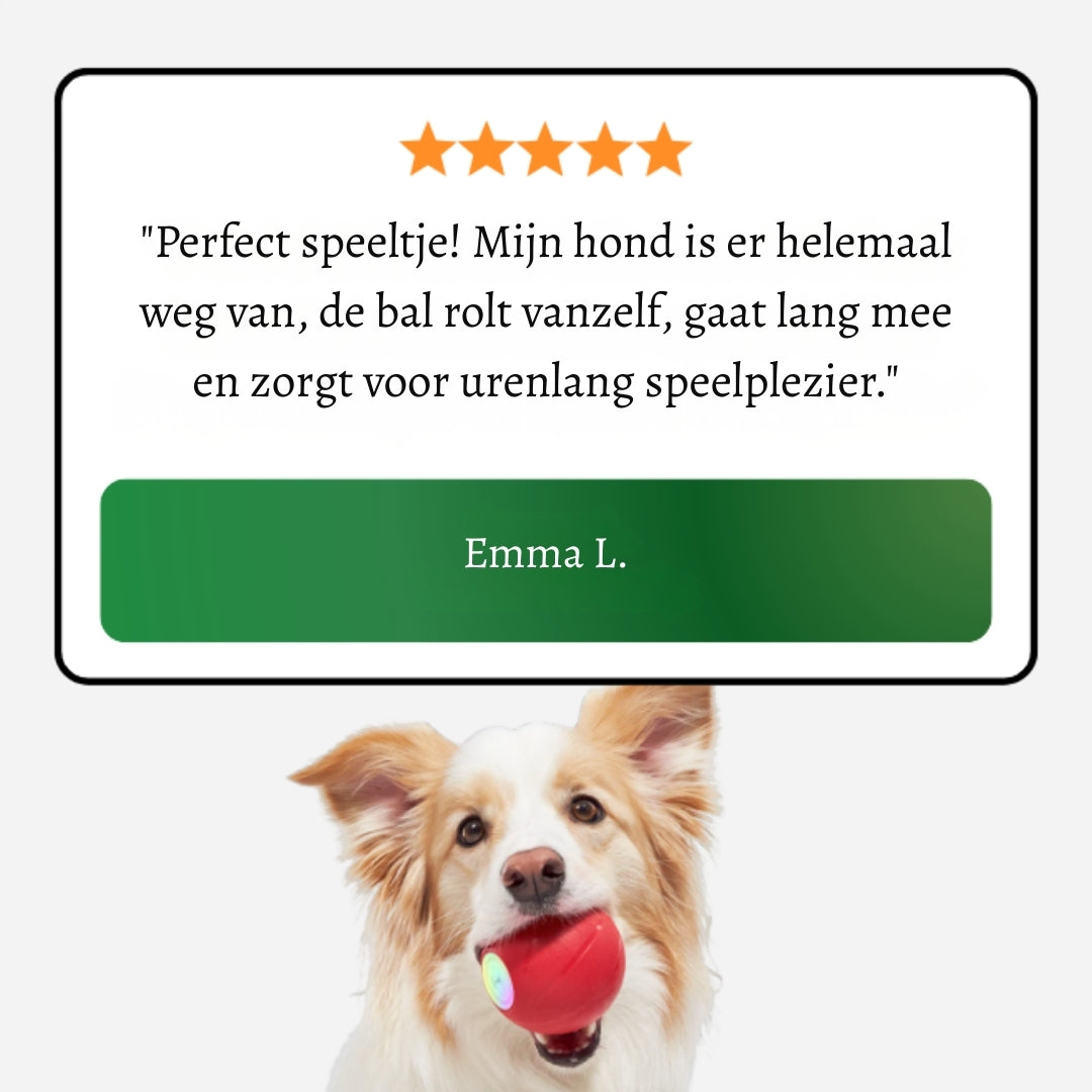 PlayBuddy Ball – De interactieve speelbal die je hond écht nodig heeft