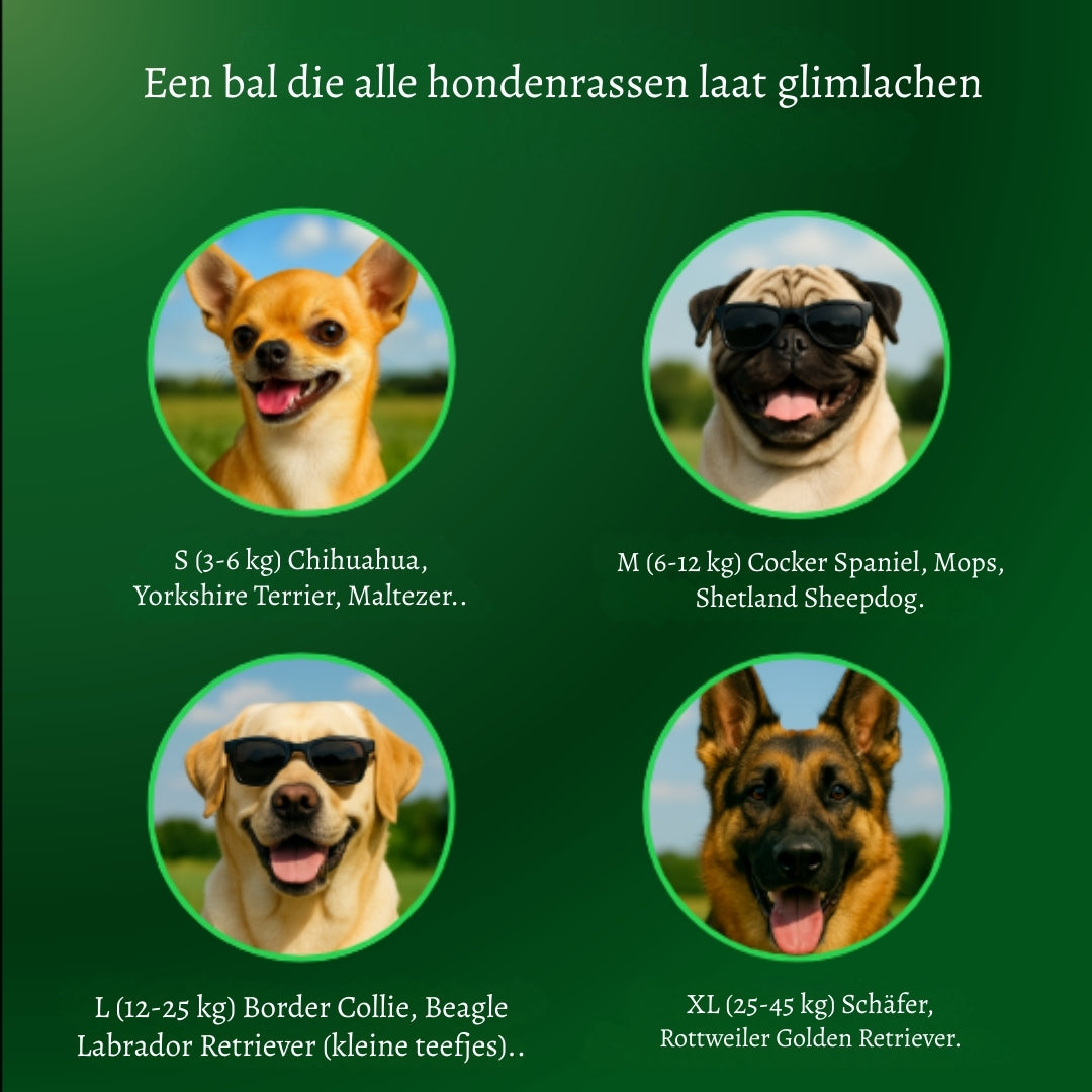 PlayBuddy Ball – De interactieve speelbal die je hond écht nodig heeft