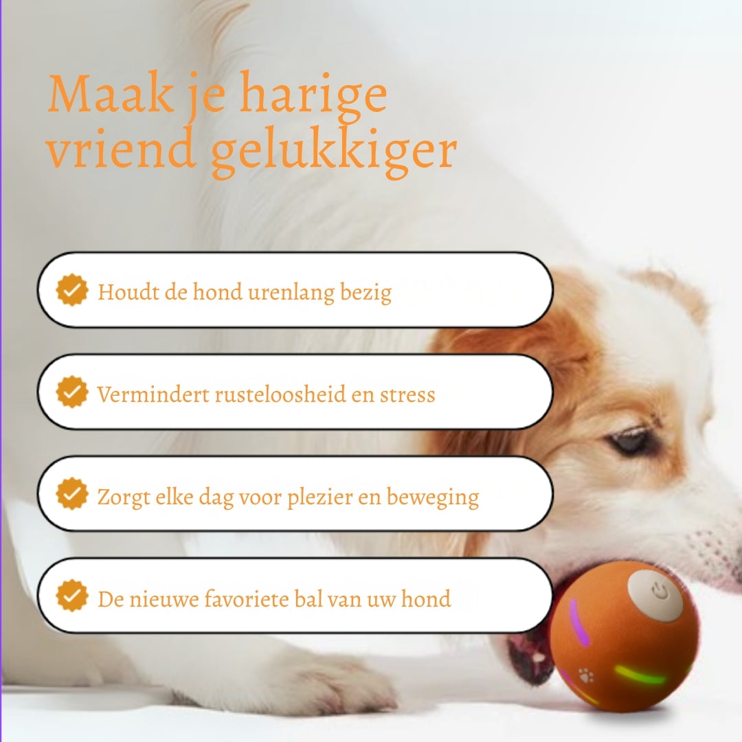PlayBuddy Ball – De interactieve speelbal die je hond écht nodig heeft