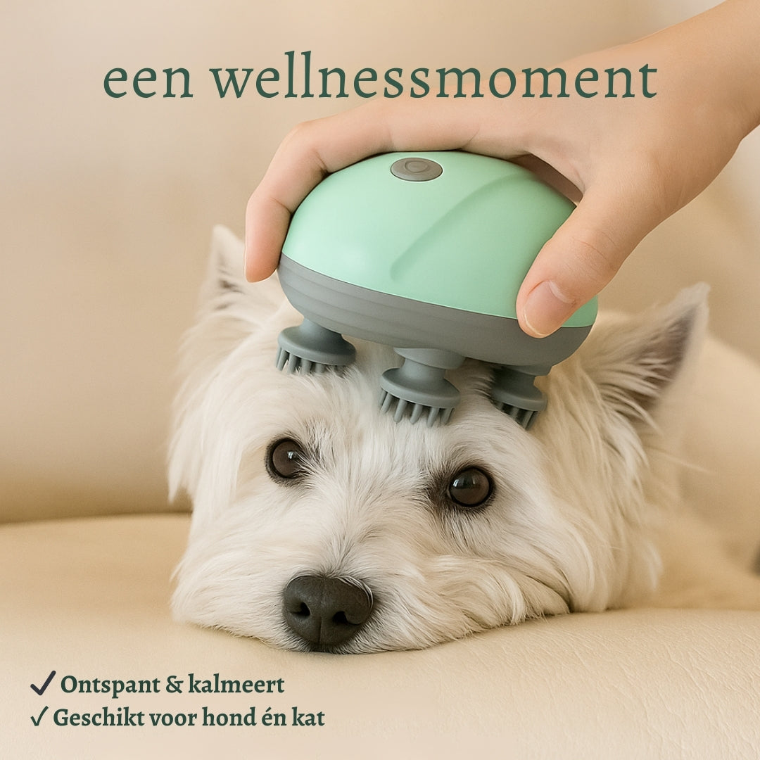 PurrWell – Ontspanning die je huisdier verdient