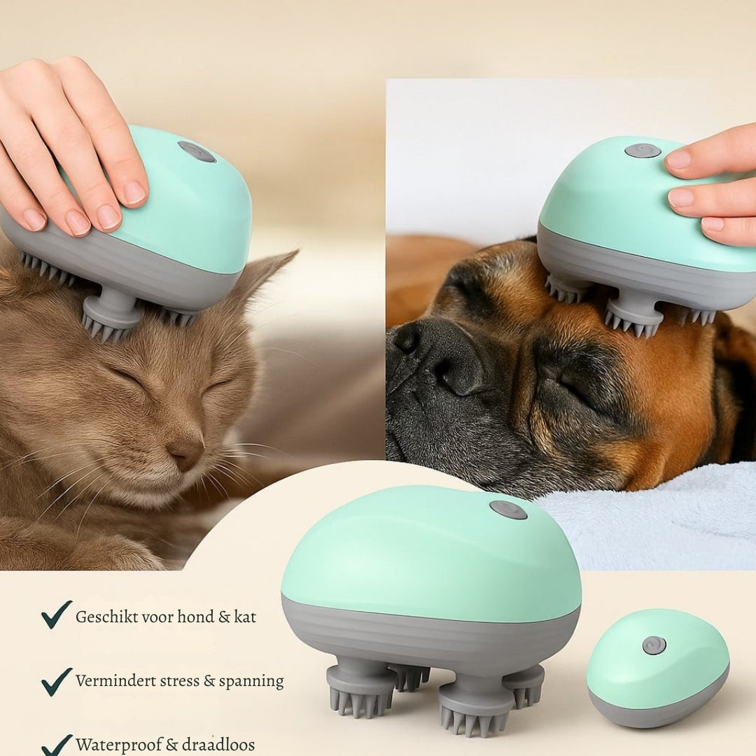 PurrWell – Ontspanning die je huisdier verdient