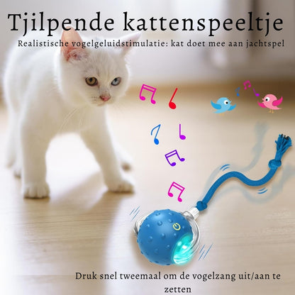 JachtBal Pro – Het interactieve speeltje dat jouw kat urenlang vermaakt
