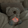 Serenity Koala – Jouw Spirituele Knuffel van Rust en Aarding