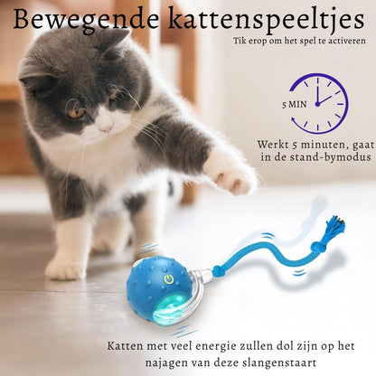JachtBal Pro – Het interactieve speeltje dat jouw kat urenlang vermaakt