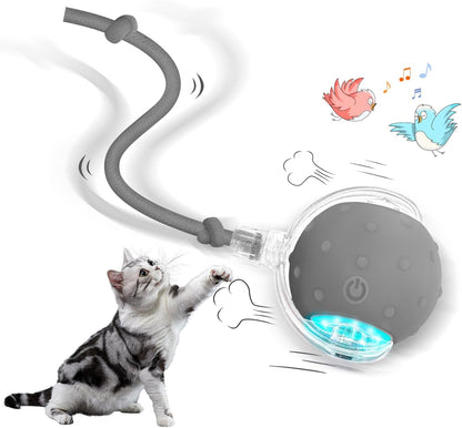 JachtBal Pro – Het interactieve speeltje dat jouw kat urenlang vermaakt