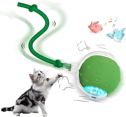JachtBal Pro – Het interactieve speeltje dat jouw kat urenlang vermaakt