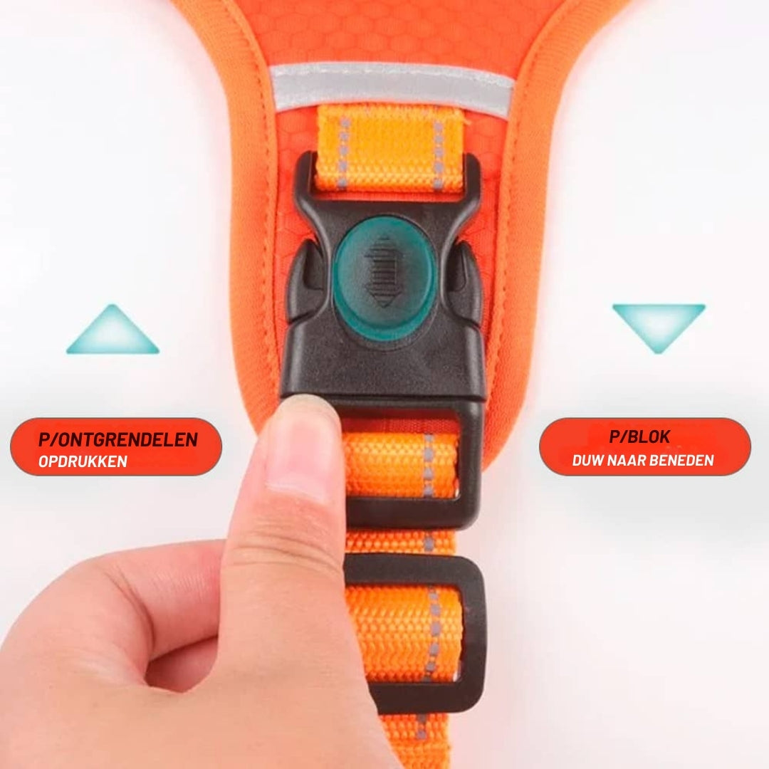 PawGuard – Comfort & Controle voor Elke Wandeling met Je Hond