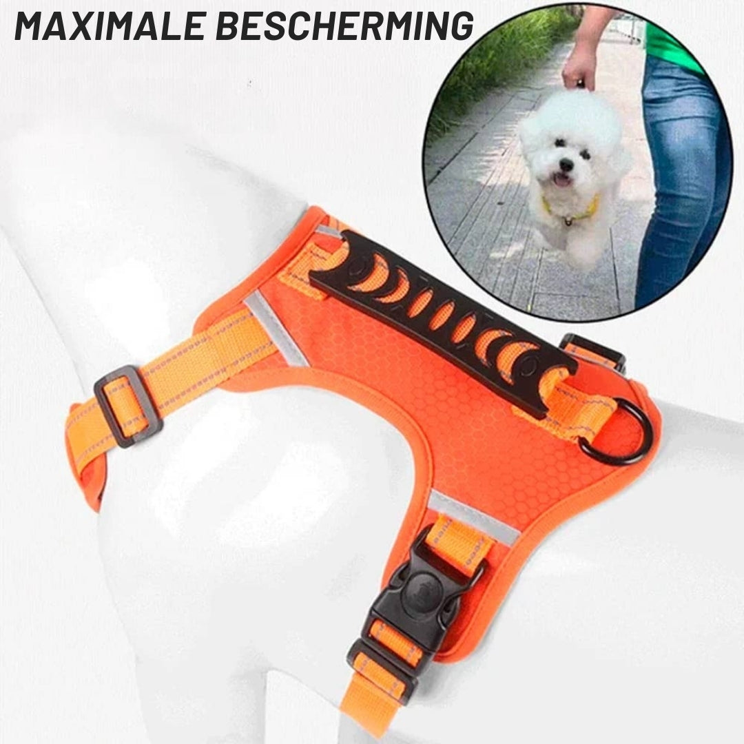 PawGuard – Comfort & Controle voor Elke Wandeling met Je Hond