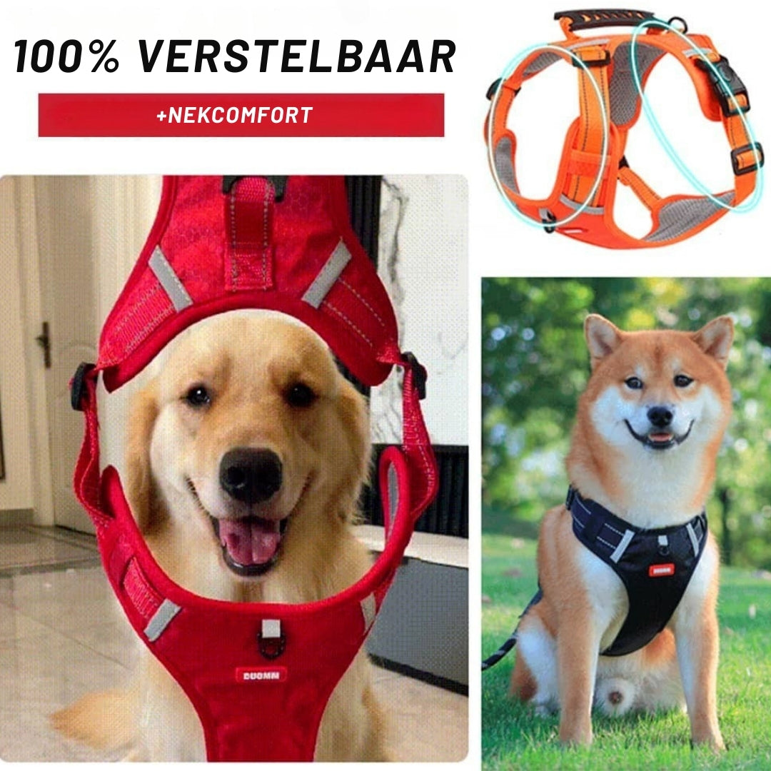 PawGuard – Comfort & Controle voor Elke Wandeling met Je Hond