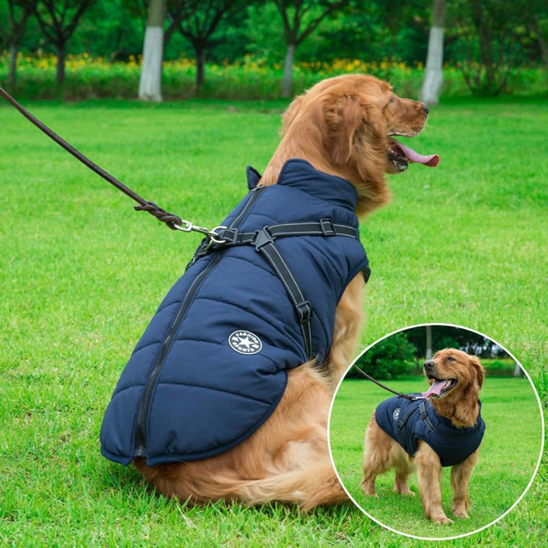 Winterjas voor honden