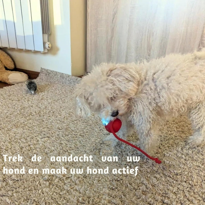 Wiggle Wag Speelbal – Het Ultieme Speelmaatje voor Jouw Huisdier!