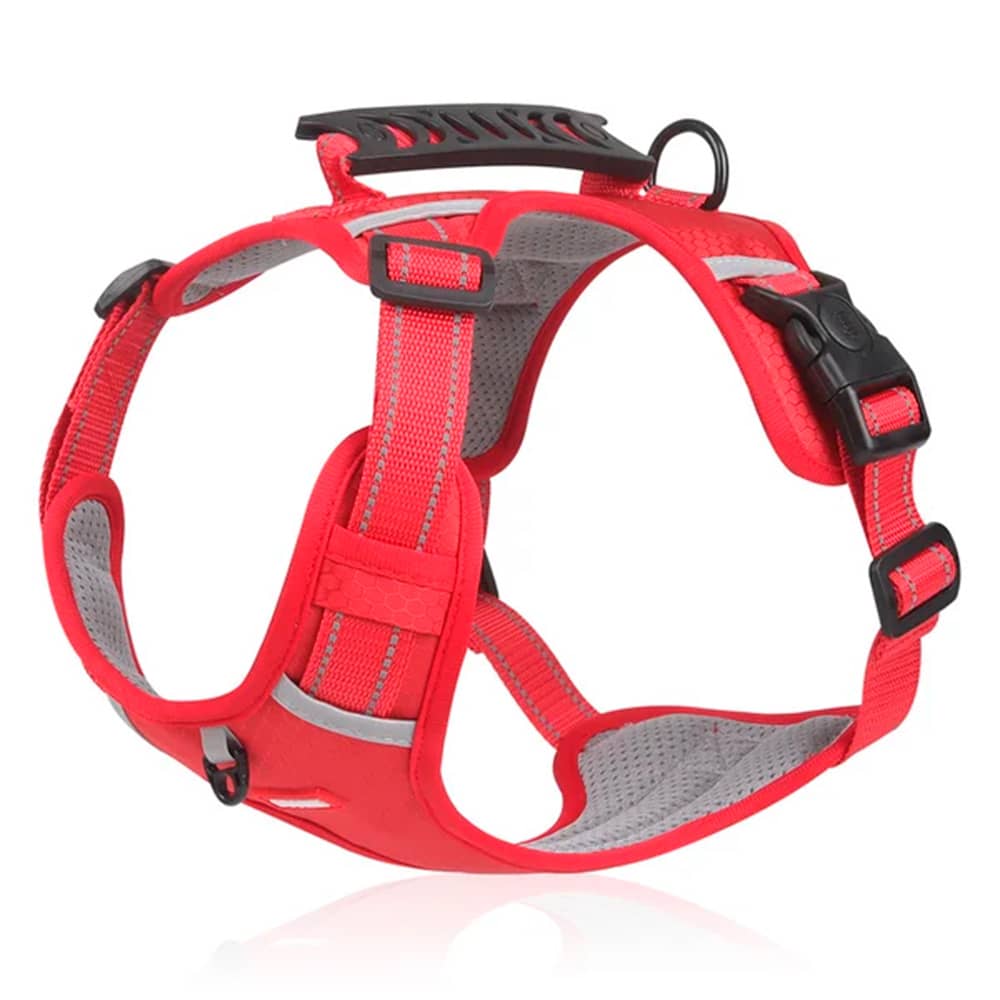PawGuard – Comfort & Controle voor Elke Wandeling met Je Hond