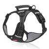 PawGuard – Comfort & Controle voor Elke Wandeling met Je Hond
