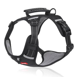 PawGuard – Comfort & Controle voor Elke Wandeling met Je Hond