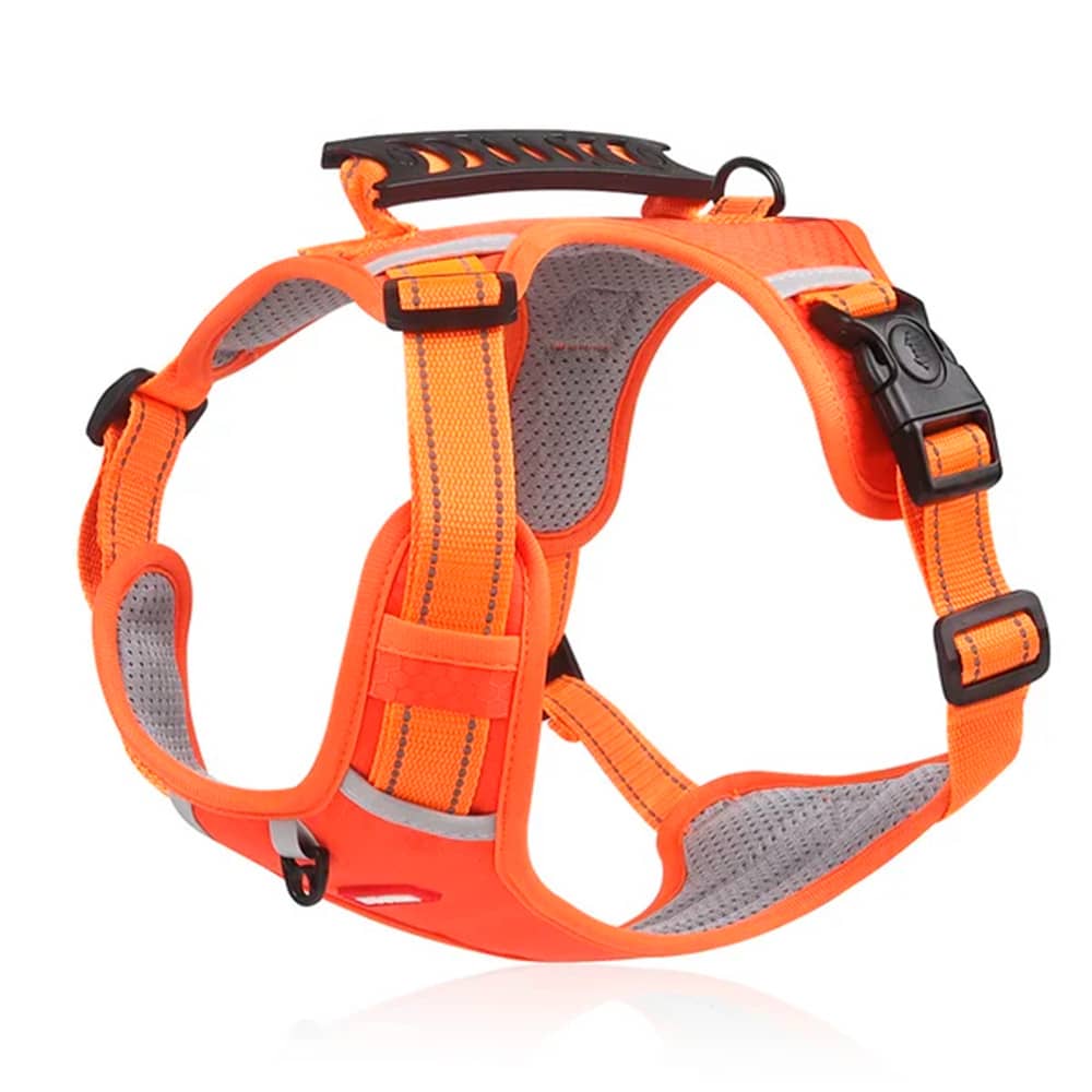 PawGuard – Comfort & Controle voor Elke Wandeling met Je Hond