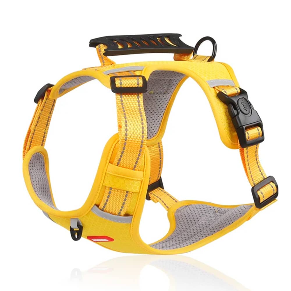 PawGuard – Comfort & Controle voor Elke Wandeling met Je Hond
