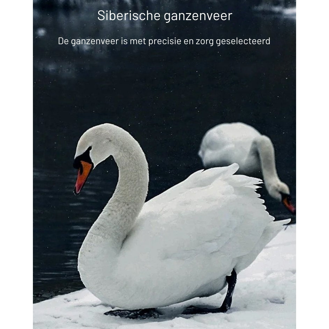 CloudComfort – Jouw Ultieme Slaappartner