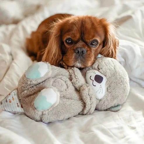 Spirituele Otter Knuffel – De Speelse, Kalmerende Metgezel voor Ontspanning en Vreugde