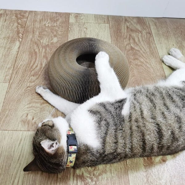 FlexiScratch Deluxe – Het ultieme kattenspeelgoed