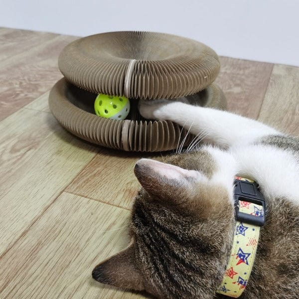 FlexiScratch Deluxe – Het ultieme kattenspeelgoed